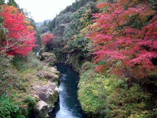 霧島紅葉